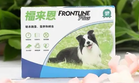 福来恩怎么查询真伪 福来恩怎么查询真伪