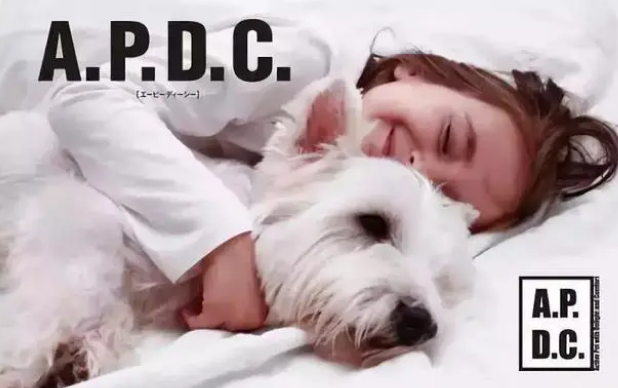 apdc宠物官网 apdc宠物官网