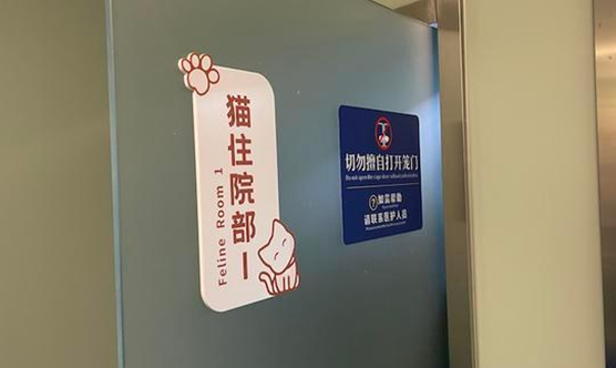 独家调查｜萌宠商业秘密：猫一生或消费20万，宠物医疗、保险、殡葬向人类看齐