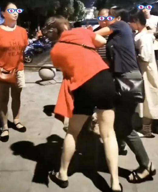 回顾2名女子当街厮打在一起，被惊吓的女子：她的狗就比人金贵？