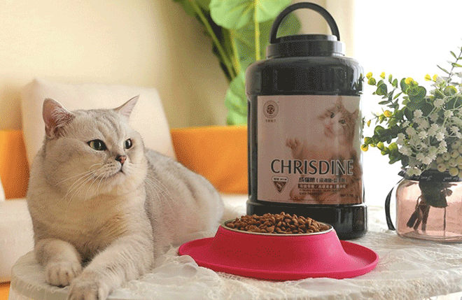 可莉丝汀猫粮好吗