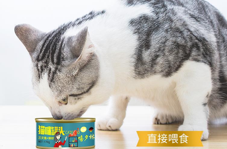 可亚鑫德猫罐头多少钱 可亚鑫德猫罐头多少钱