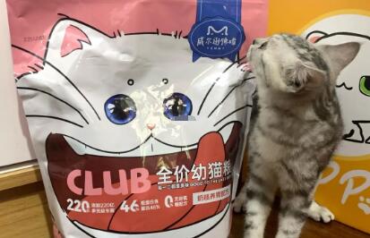 威尔逊馋嘴猫粮为啥这么便宜 威尔逊馋嘴猫粮为啥这么便宜