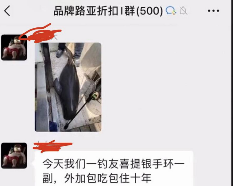 疑似男子违法垂钓江豚致其死亡,湘阴农业部门:已将线索移送警方,如属实构成犯罪 疑似男子违法垂钓江豚致其死亡,湘阴农业部门:已将线索移送警方,如属实构成犯罪