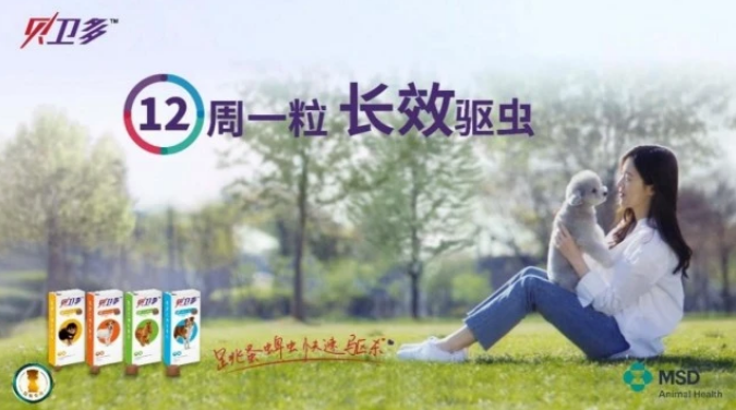 狗狗身上有蜱虫怎么去除?新一代“季驱型”贝卫多助力长效根除! 狗狗身上有蜱虫怎么去除?新一代“季驱型”贝卫多助力长效根除!