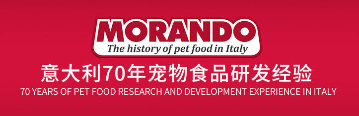 茉兰朵官网 茉兰朵官网
