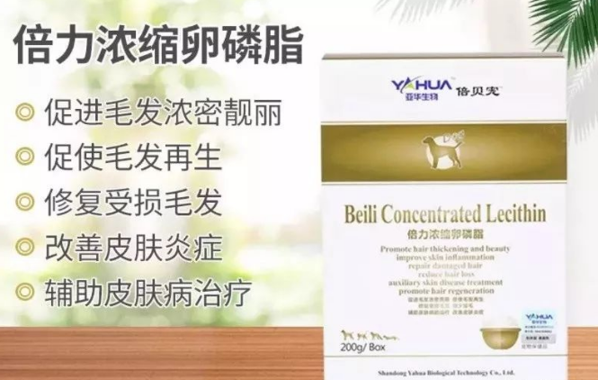 狗狗毛发打结怎么办,倍贝宠卵磷脂帮你解决! 狗狗毛发打结怎么办,倍贝宠卵磷脂帮你解决!
