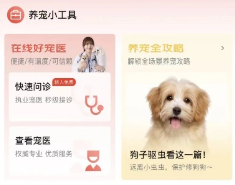 京东11.11新服务上线,“服务管家”首期为养宠新手提供全场景解决方案 京东11.11新服务上线,“服务管家”首期为养宠新手提供全场景解决方案