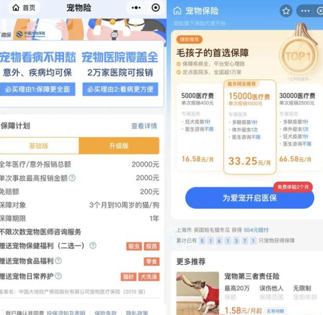南宁一女子花999元给宠物买保险,报销时却发现问题 南宁一女子花999元给宠物买保险,报销时却发现问题