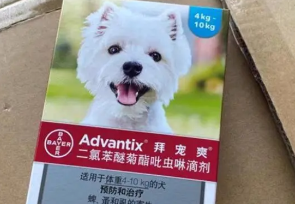 狗狗体外驱虫药这样选,拜宠爽专业防叮咬 狗狗体外驱虫药这样选,拜宠爽专业防叮咬