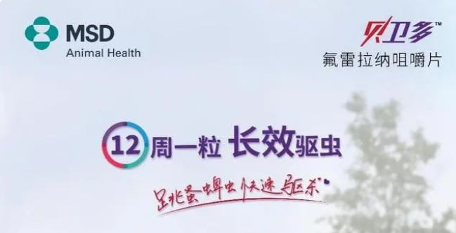 狗狗身上有跳蚤怎么处理?贝卫多一次性解决! 狗狗身上有跳蚤怎么处理?贝卫多一次性解决!
