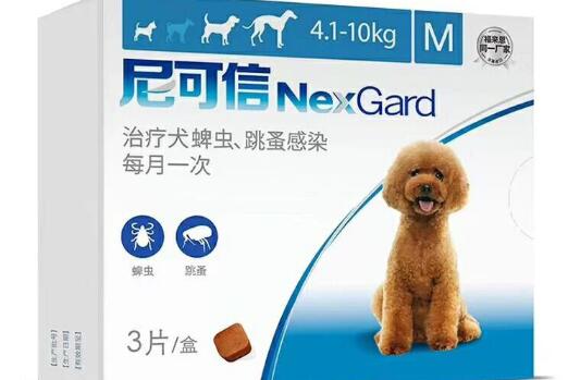 狗狗吃了尼可信后有什么反应 狗狗吃了尼可信后有什么反应