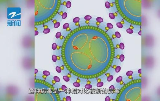 女子被猫抓伤,猫却不明原因死亡;医生:致死率高达30% 女子被猫抓伤,猫却不明原因死亡;医生:致死率高达30%