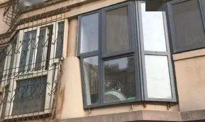 “救命！我被邻居家的猫偷窥了！”