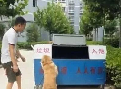 邻居养了只金毛,被连发三次“好人卡”,难道成精了? 邻居养了只金毛,被连发三次“好人卡”,难道成精了?