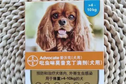 爱沃克驱虫后多久可以洗澡 爱沃克驱虫后多久可以洗澡