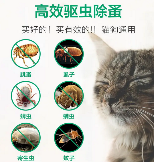 猫身上的跳蚤用什么药能杀死