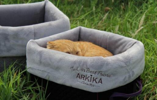 arkika宠物羽绒包好用吗 arkika宠物羽绒包好用吗