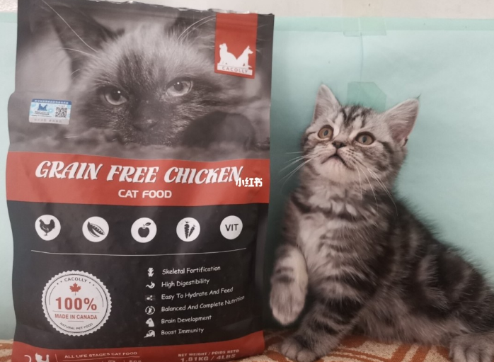 奥可丽猫粮怎么样 奥可丽猫粮怎么样