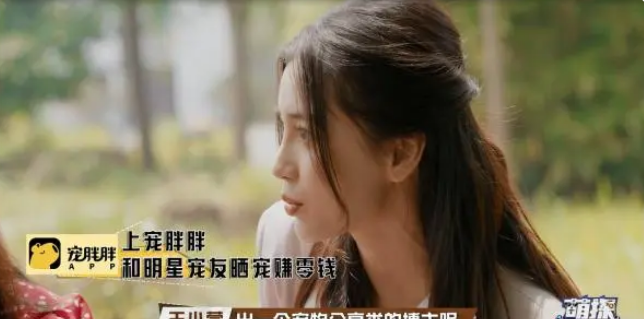 达成共识!宠胖胖与《萌探》2一起传递治愈与欢乐! 达成共识!宠胖胖与《萌探》2一起传递治愈与欢乐!