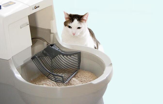 猫洁易猫砂盆有哪几款