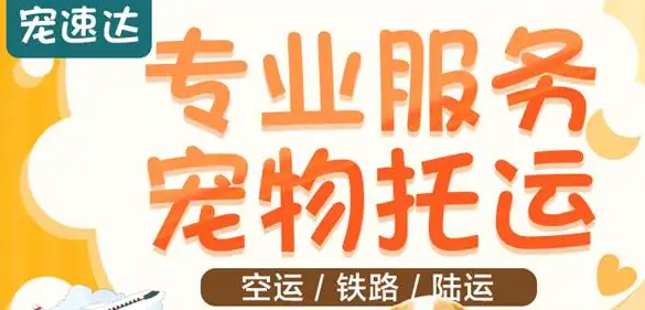 宠速达宠物托运是真的假的 宠速达宠物托运是真的假的