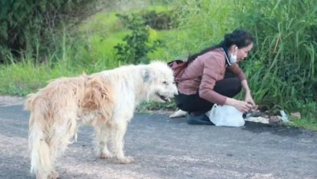 狗狗走丢了，路口等待主人4年，重逢时，它却不跟主人走了