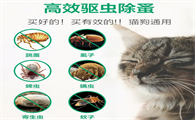猫身上的跳蚤用什么药能杀死
