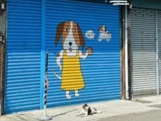 狗狗在路边晒太阳,网友以为它走丢,结果抬头一看卷帘门秒懂 狗狗在路边晒太阳,网友以为它走丢,结果抬头一看卷帘门秒懂