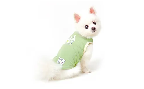 ispet宠物衣服款式怎么样 ispet宠物衣服款式怎么样