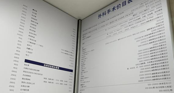 独家调查｜萌宠商业秘密：猫一生或消费20万，宠物医疗、保险、殡葬向人类看齐