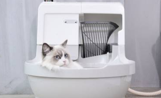 猫洁易清洗液可以自己加吗 猫洁易清洗液可以自己加吗