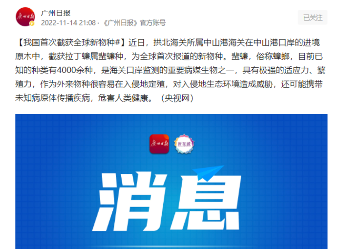 我国首次截获全球新物种蜚蠊 我国首次截获全球新物种蜚蠊