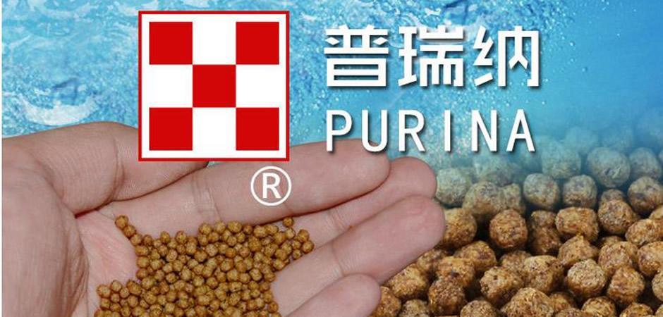 普瑞纳饲料全国排第几 普瑞纳饲料全国排第几