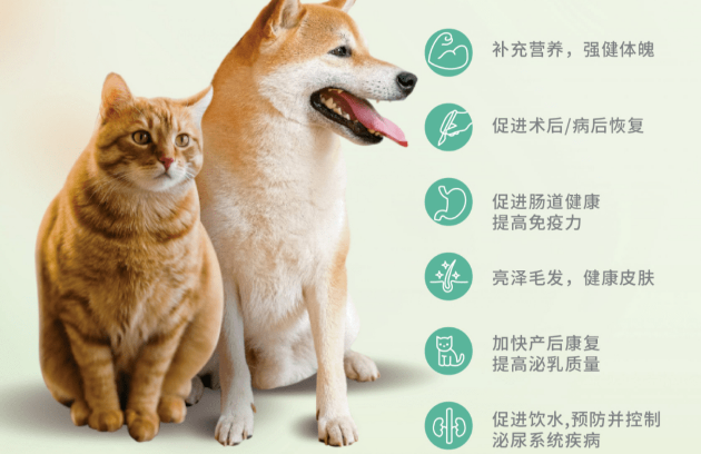 专注研究犬猫营养液13年——Viyo唯优来了! 专注研究犬猫营养液13年——Viyo唯优来了!