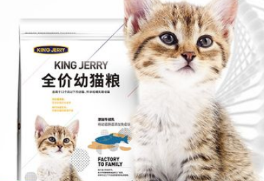 kingjerry猫粮是国产猫粮吗