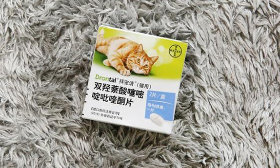 拜宠清猫用 拜宠清猫用