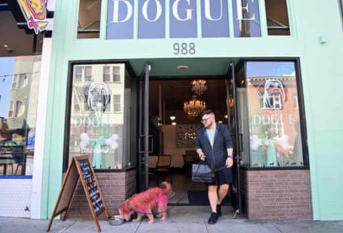 旧金山厨师推出狗狗餐厅，75美元即可让狗狗享用大餐