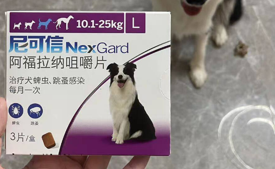 尼可信体外驱虫怎么样 尼可信体外驱虫怎么样