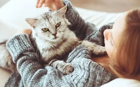 猫尿频尿少吃什么药好得快