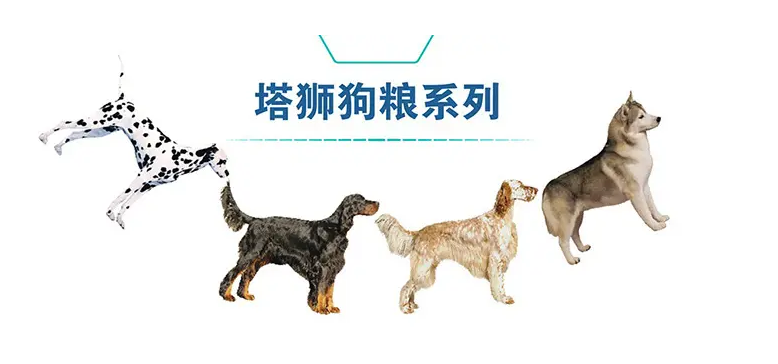 塔狮狗粮怎么查是不是正品-宠物网