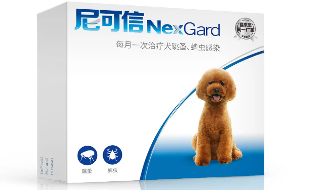 狗狗吃尼可信要注意什么