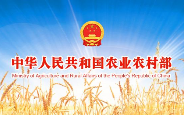 农业农村部、市场监管总局部署开展宠物诊疗秩序专项整治行动 农业农村部、市场监管总局部署开展宠物诊疗秩序专项整治行动