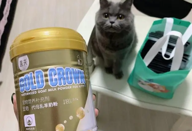 猫咪小七和灰灰,体验盖夫金冠羊奶粉双倍的快乐 猫咪小七和灰灰,体验盖夫金冠羊奶粉双倍的快乐