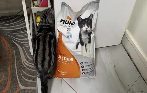 想知道nulo猫粮怎么样,快来看这篇喂养体验 想知道nulo猫粮怎么样,快来看这篇喂养体验