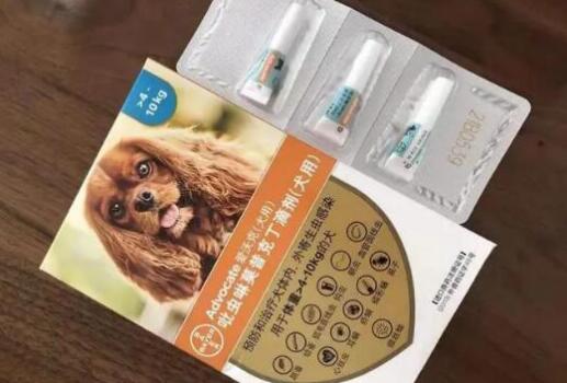 爱沃克驱虫多久见效