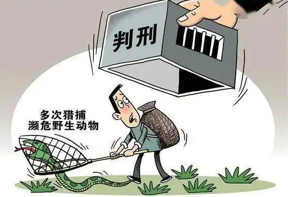 山东德州一男子猎捕92只“小动物”被判刑 山东德州一男子猎捕92只“小动物”被判刑