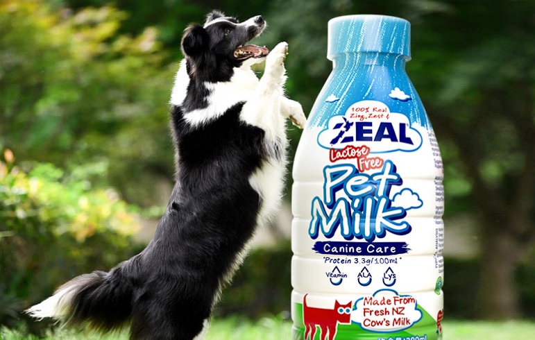 真致宠物牛奶人可以喝吗