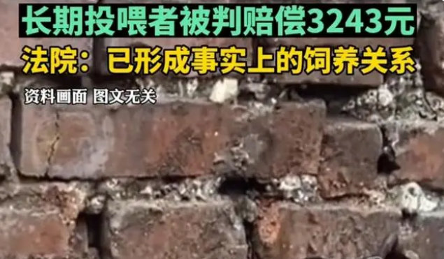 陕西流浪狗咬伤居民,长期投喂者被判赔偿3000元,网友:善没善报 陕西流浪狗咬伤居民,长期投喂者被判赔偿3000元,网友:善没善报