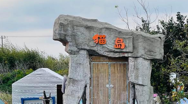 独家调查｜萌宠商业秘密：猫一生或消费20万，宠物医疗、保险、殡葬向人类看齐